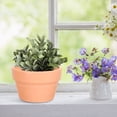 thumbnail image 2 of 10Pcs Clay Pots Pottery Terracotta Pot Ceramic Succulents Planter Flower Pots Desktop Ornament for Home Office Decor, 2 of 6