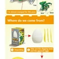 thumbnail image 2 of Faithtur Kids Dinosaur Egg Toy Archaeology Dig DIY Assembled Building Block, 2 of 9