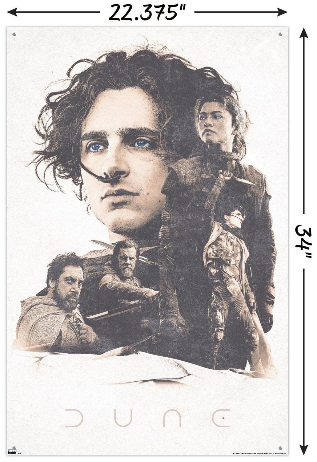 Dune: Part 2 - Group Wall Poster, 22.375" x 34"
