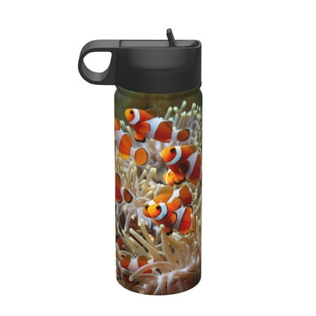 

Tideii Cute Anemone Fish for 18OZ Insulated Space Bottle Stainless Steel Water Cup with Straw Suitable for Outdoor Sports Unisex