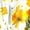 X-434 Mustard Yellow, variant on Print Loose Fit Coveralls for Ladies Summer Fall Overall Flare Wide Leg Long Boot Cut Leg Coveralls Trousers Pants One Piece Womens 2026 Clothing Fashion