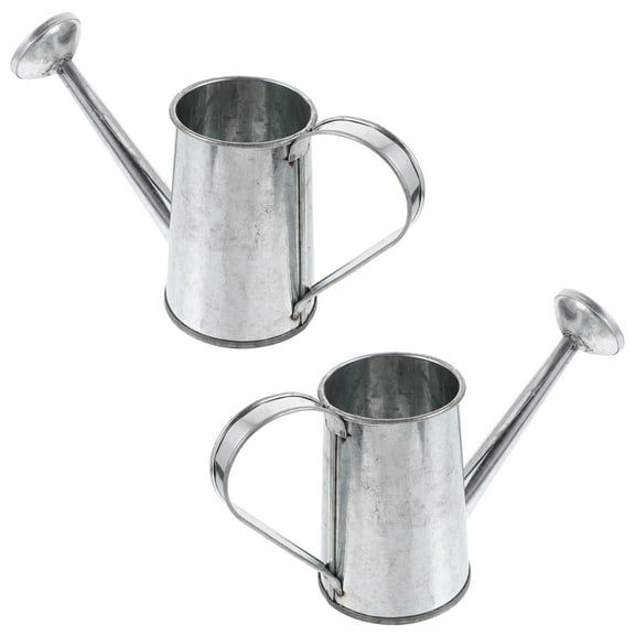2 Pcs Watering Can Planters Tin Mini Flower Pot Rustic