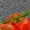Dark Gray, variant on Women's Watercolor Vine Cherry Tomato Print White V-Neck Sleeveless T-Shirt Holiday Tank S-5XL Top