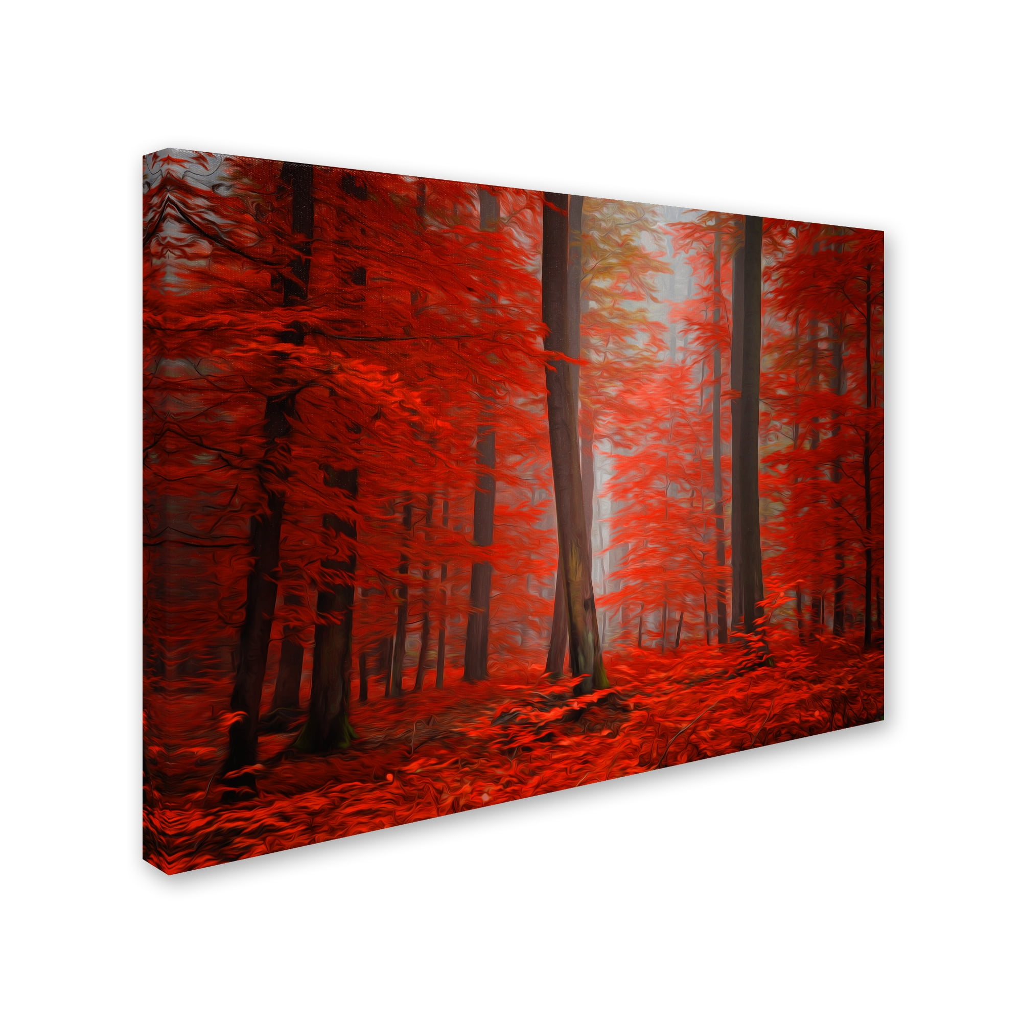 Trademark Fine Art "Speaking of Tongues" Canvas Art by Philippe Sainte-Laudy