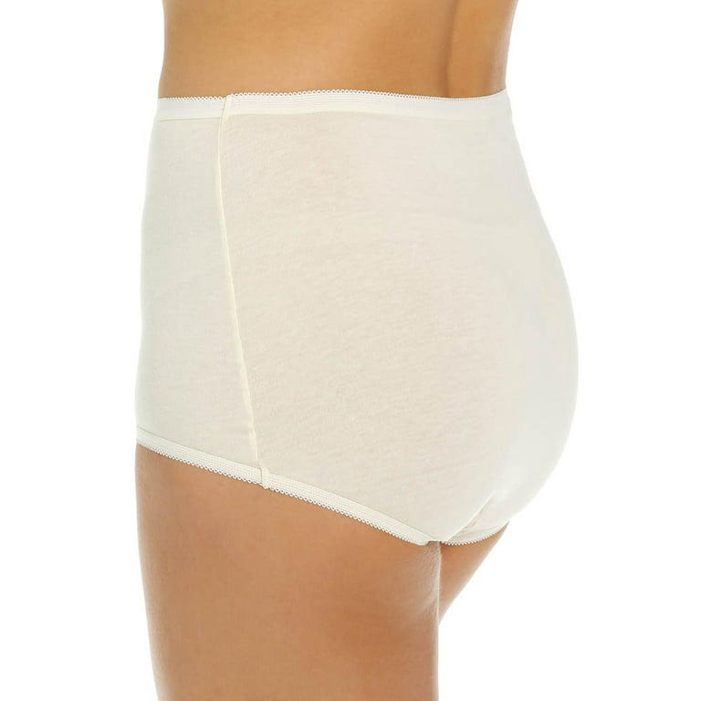 Hanes Women's assorted cotton brief panties - 3 pack 