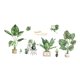 thumbnail image 4 of Pegatinas de pared Soledad plantas PVC 30 cm x 90 cm Estilo C, 4 of 10