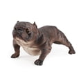 thumbnail image 1 of Visland Figurine Réaliste Bully Dog Modèle Animal en PVC Jouet pour Enfants Décoration de Table, 1 of 8