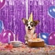 thumbnail image 5 of Fondo de fiesta Bewildely decoración para fiestas Púrpura 3*1m, 5 of 6