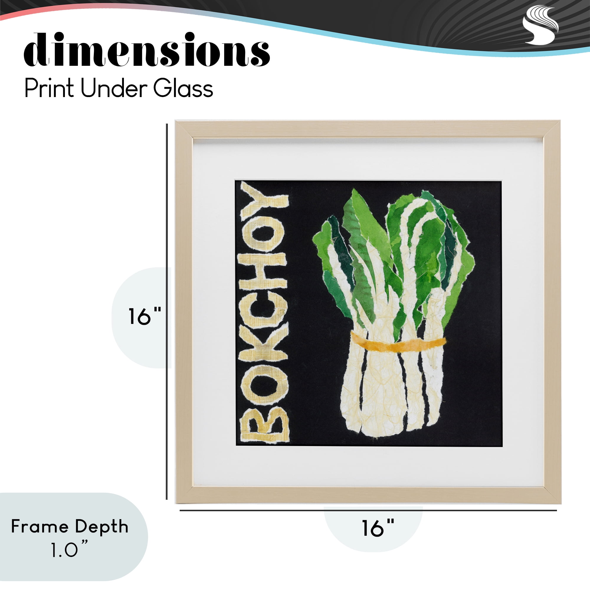 Stupell Industries Bok Choy Leafy Vegetable Birch Framed Print Under Glass, design by Nancy Overton
