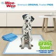 Four Paws WeeWee Grass Scented Potty Training Dog & Puppy Pads, Pet