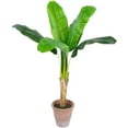 thumbnail image 3 of Northlight 4' Artificial Tropical Banana Tree in a Clay Pot, 3 of 7
