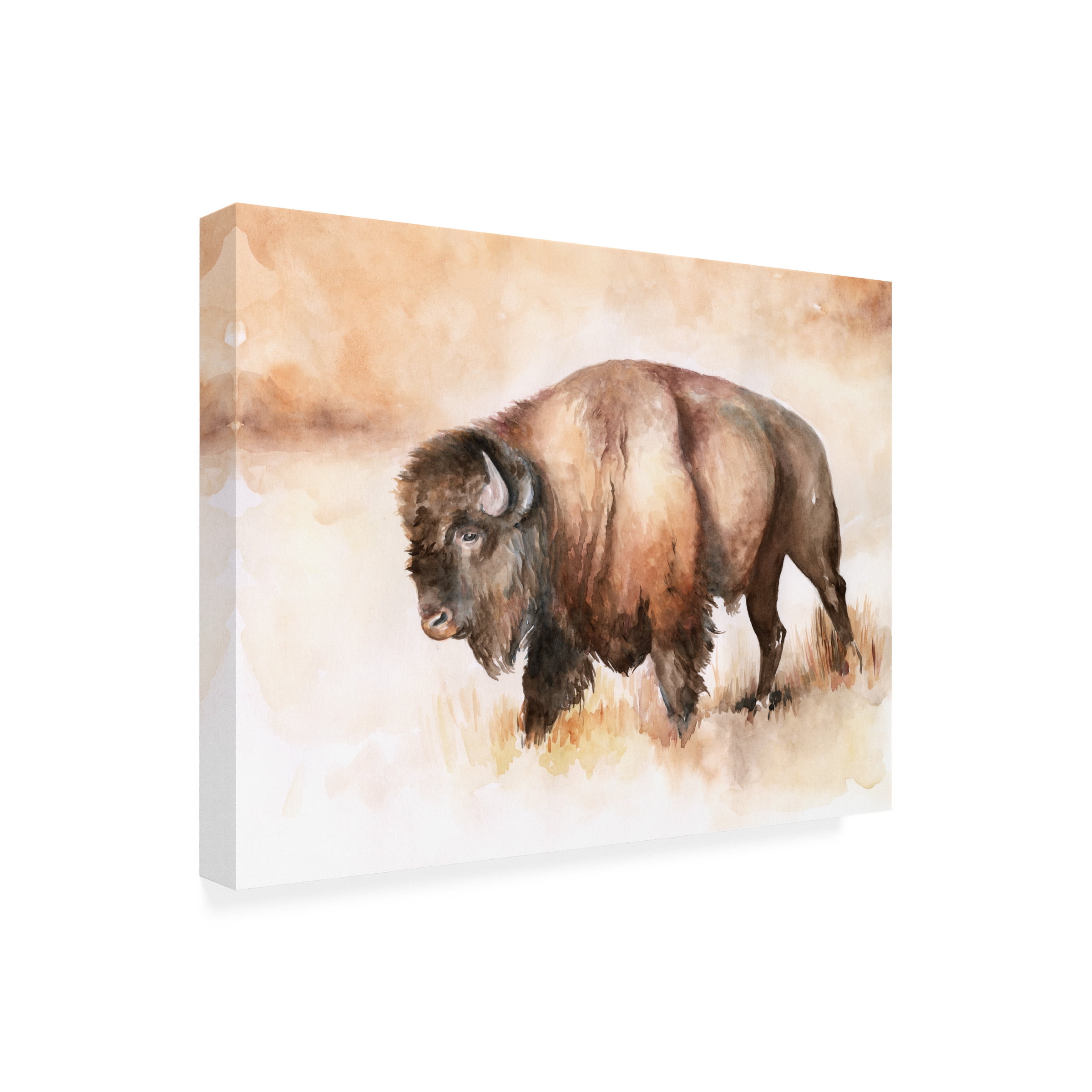 Jennifer Paxton Parker 'Buffalo Roam I' Canvas Art