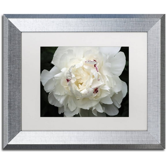 Trademark Fine Art "Perfect Peony" Canvas Art by Kurt Shaffer White Matte, Silver Frame
