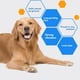 thumbnail image 4 of Cortaúñas para Perros, Minicortaúñas Eléctrico de Precisión Recargable, Herramienta para Alisar y Cuidar las Patas de las Mascotas, 4 of 5