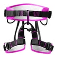 thumbnail image 4 of Harnais de Travail sur le Toit Demi-Protection du Corps Ceintures de Ceinture d'Escalade Rose, 4 of 10