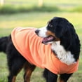 thumbnail image 6 of Midlee Coral Dog Sweatshirt (Medium), 6 of 7