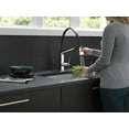 thumbnail image 4 of Delta 9693-Dst Pivotal Pull-Down Kitchen Faucet - Black, 4 of 7