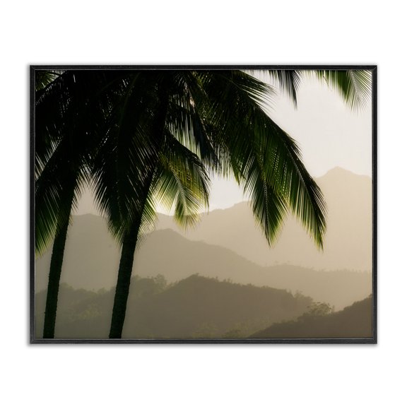 Stupell Industries Coastal Palm Trees At Sunrise Mountain Range Black Framed Giclee Art, 30 x 24, by Dennis Frates