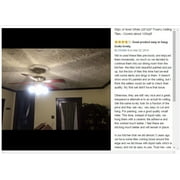 20x20 Anet Foam Ceiling Tile