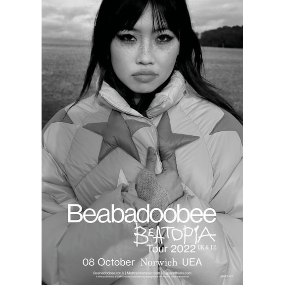 Beabadoobee Poster Canvas Poster Bedroom Decoration Landscape Office Valentine's Birthday Gift