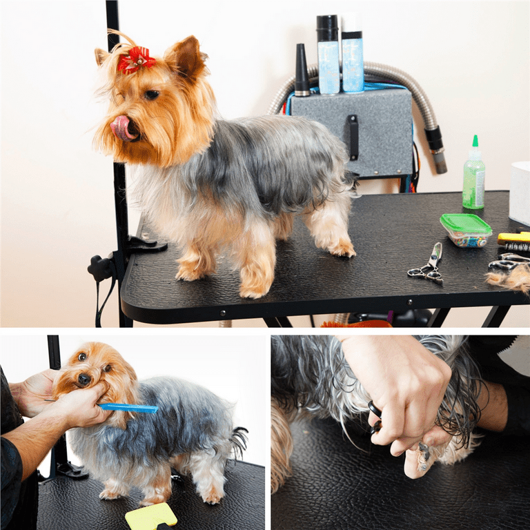 Dog grooming hotsell table walmart