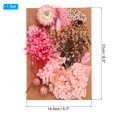 thumbnail image 2 of Unique Bargains Fleurs Séchées Naturelles Multiples Fleurs Pressées Colorées Série Rose, 2 of 5