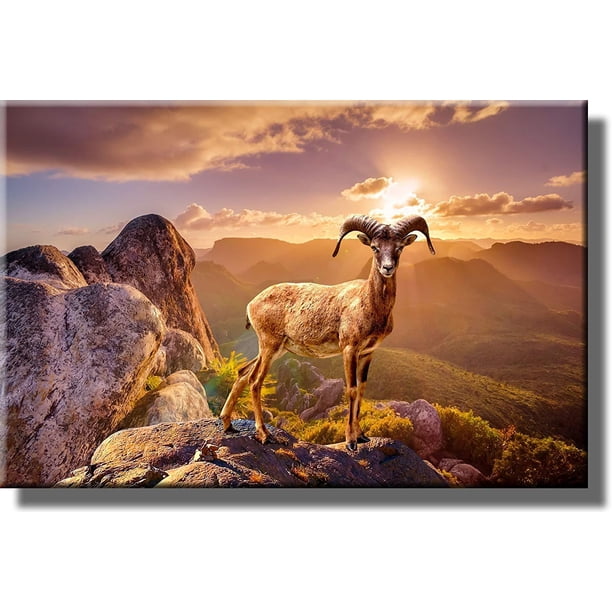 Beautiful Wildlife Picture on Stretched Canvas, Wall Art Décor, Ready