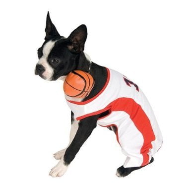 Basketball Player Pet Costume - Small