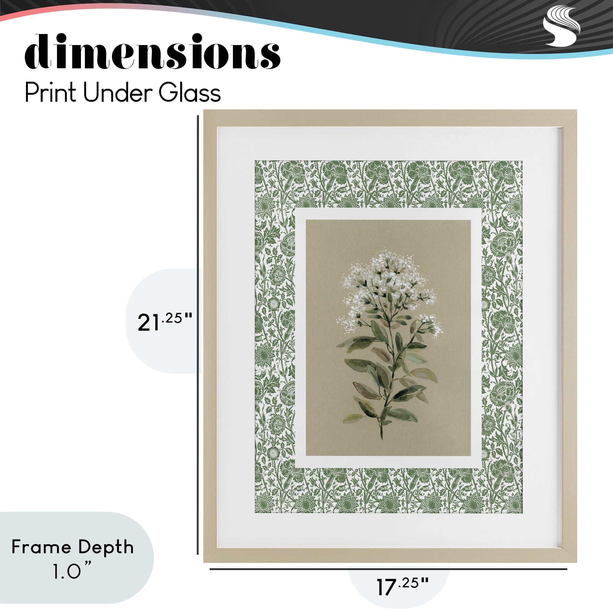 Stupell Industries Plant on Green Botanicals Birch Framed Print Under Glass, design by Carol Robinson