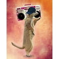 thumbnail image 2 of Fab Funky 12x14 Black Ornate Wood Framed with Double Matting Museum Art Print Titled - Meerkat and Boom Box, 2 of 4