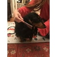 thumbnail image 2 of Small Pet Select Hair Buster Comb, 2 of 10
