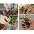 thumbnail image 5 of Mezcla de corteza de pino orgánica shaofei para macetas de orquídeas grande 18-35 mm 4 qt, 5 of 5