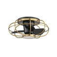 thumbnail image 2 of Aella Indoor and Outdoor 3-Blade Smart Caged Ceiling Fan 22in Aged Brass Matte Black with 3000K LED Light Kit and Remote Control, 2 of 5