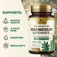 thumbnail image 4 of Magnesium (Glycinate) 250 mg - 100% Chelated & High Absorption Magnesium Supplement - Improved Formula with Mag Glycinate for Gentle Digestion - Gluten Free, Vegan, Bottled in The USA - 120 Count, 4 of 10