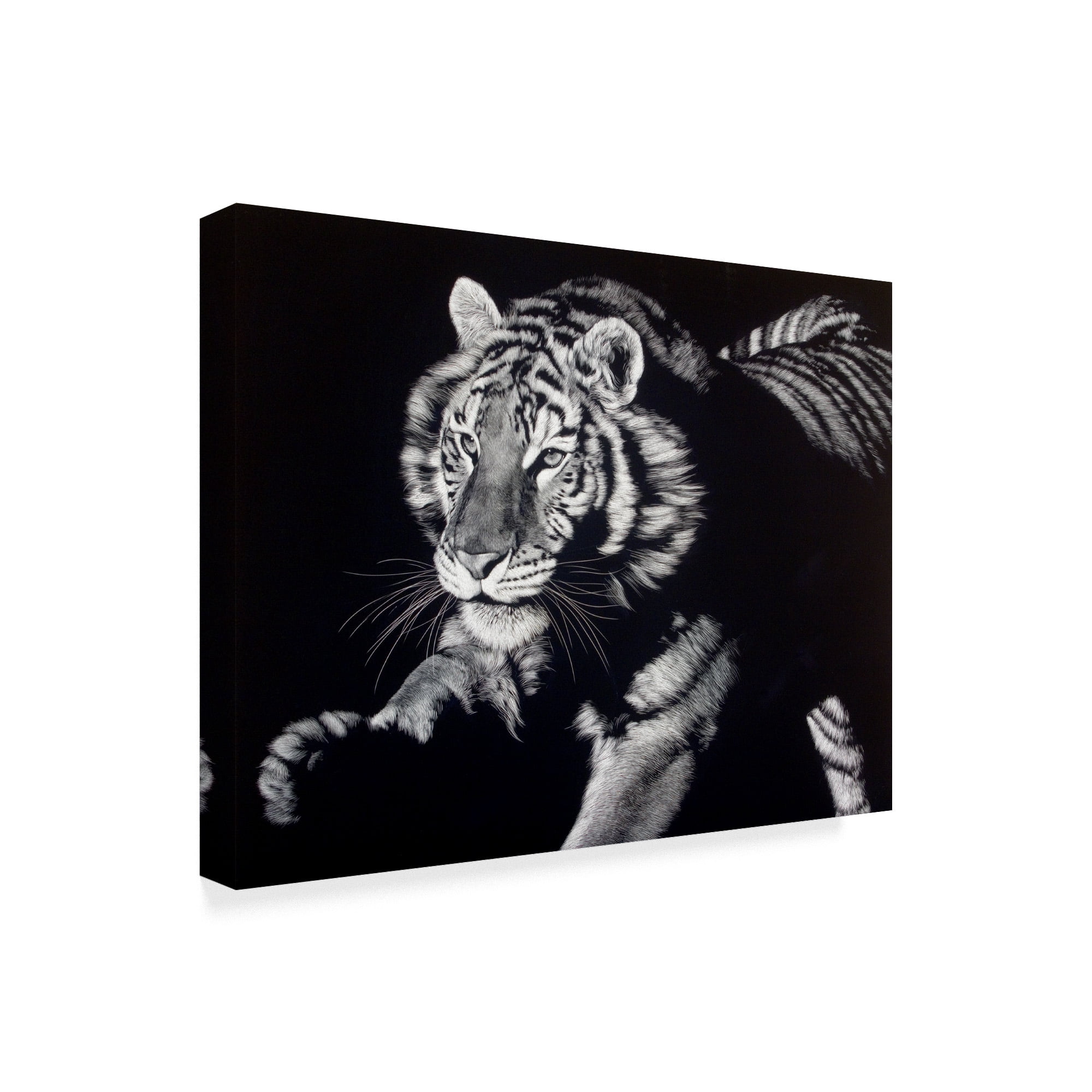 Trademark Fine Art 'Burning Bright Tiger' Canvas Art by Julie T. Chapman