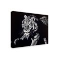 thumbnail image 2 of Trademark Fine Art 'Burning Bright Tiger' Canvas Art by Julie T. Chapman, 2 of 4