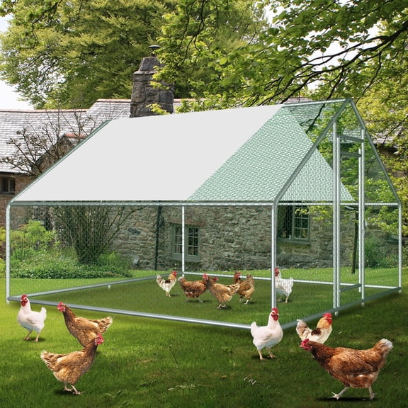 Large Outdoor Walk-in Chicken Run 10x10x6.5 FT, Metal Poultry Cage with Cover, Anti-Rust Hen House for Backyard Farm