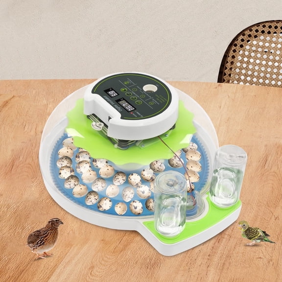 ToppiJoy 60 Quail Egg Incubator with LED Display & LED Light, 50-104°F Temperature Adjustable, Automatic Egg Turning and Humidity Control Incubators for Hatching Quail Parrot Canary Eggs