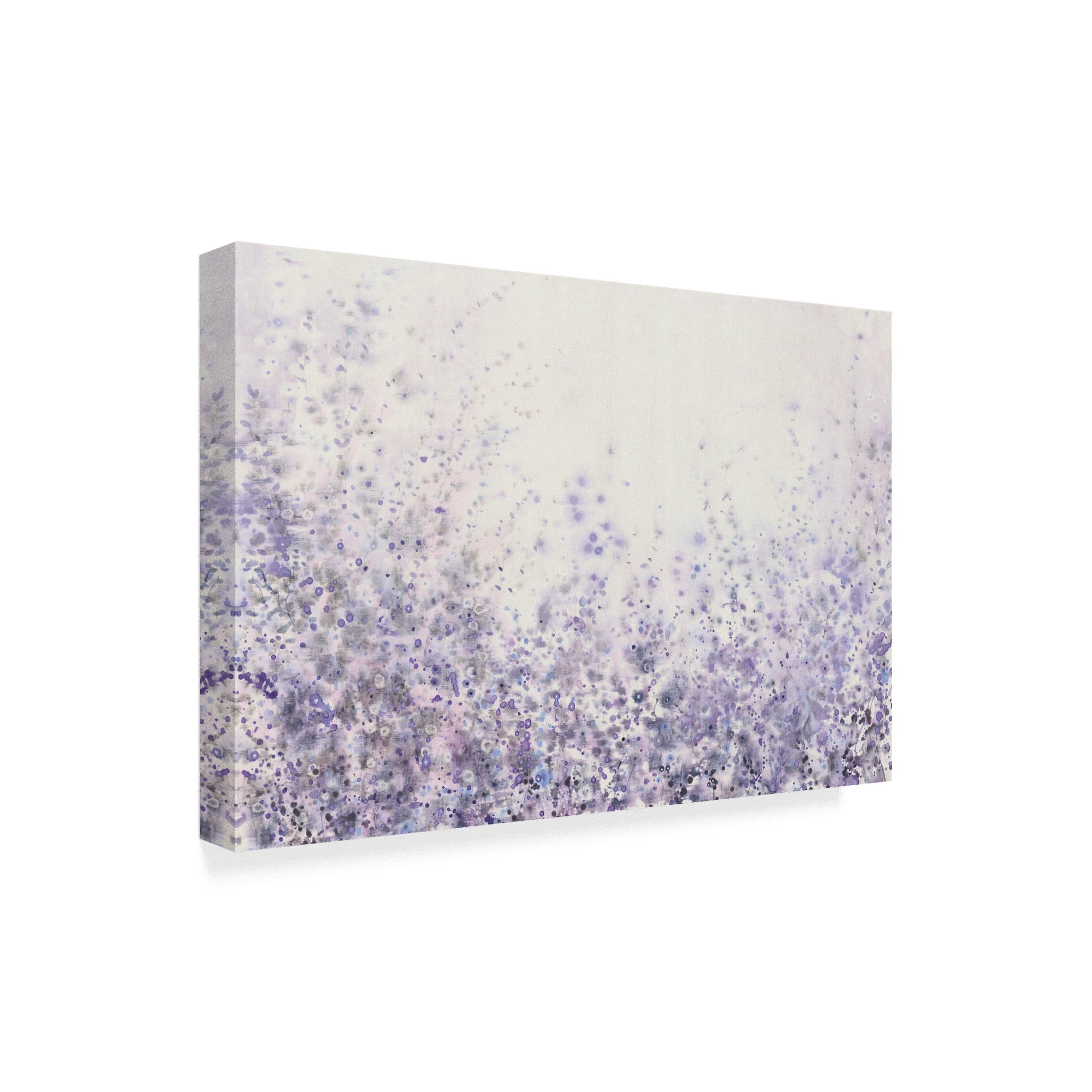 Trademark Fine Art 'Soft Focus II' Canvas Art by Tim OToole