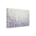 thumbnail image 2 of Trademark Fine Art 'Soft Focus II' Canvas Art by Tim OToole, 2 of 4