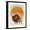 Black Frame, variant on Art.com Blazing Sun Bison Art Print by Ryan Fowler, 12" x 16"