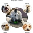 thumbnail image 3 of Paquete de 2 bolas de juguete para la dentición de perros, juguetes educativos para masticar IQ para perros duraderos no tóxicos para limpieza de dientes de perros pequeños y grandes Zhivalor WRQX-409-1, 3 of 4