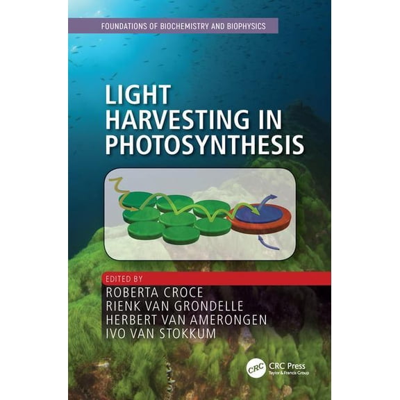 Foundations of Biochemistry and Biophysi Light Harvesting in Photosynthesis, (Hardcover)