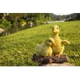 thumbnail image 1 of Estatua de jardín de resina con forma de patitos juguetones de Hi-Line Gift Ltd., 1 of 7