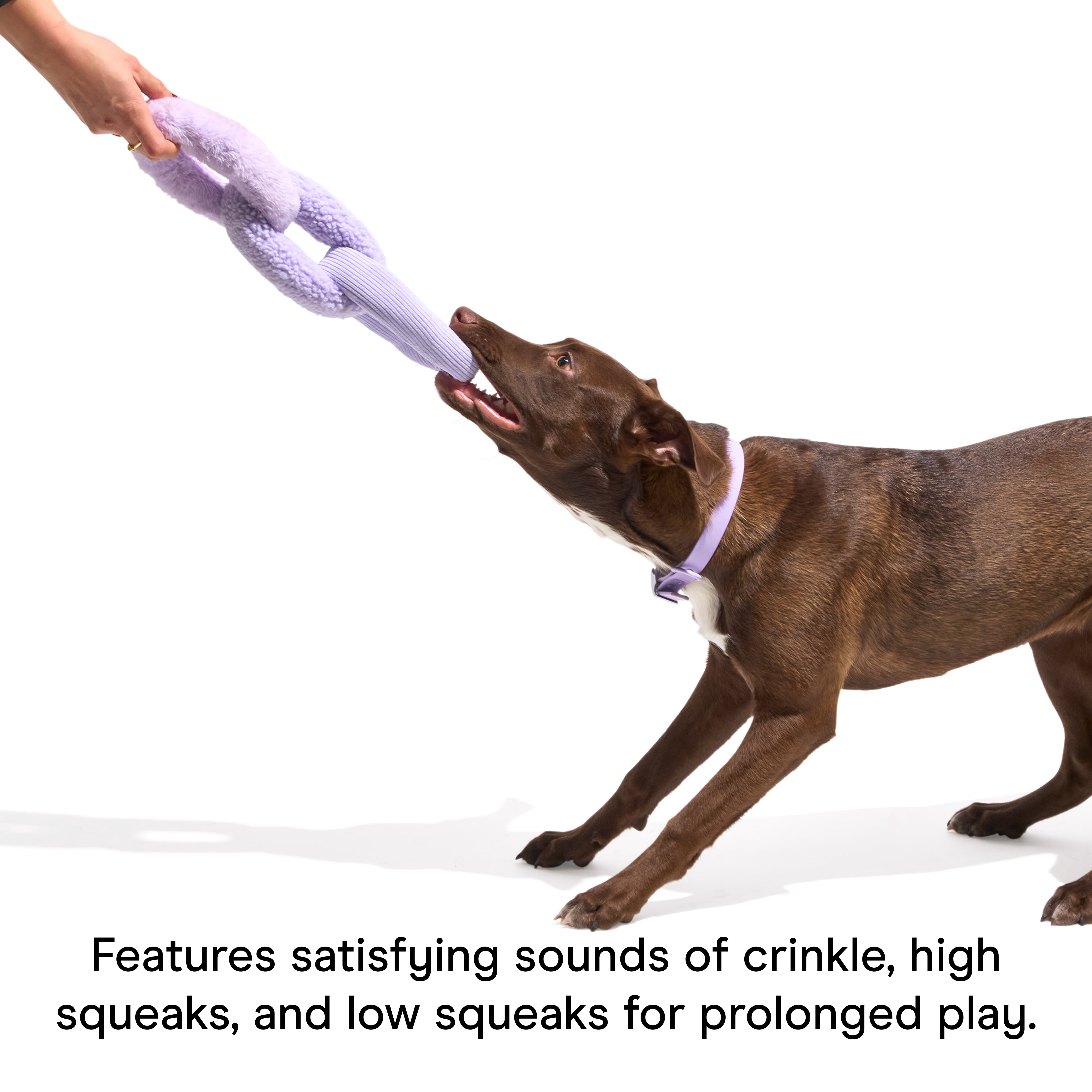 Wild One Durable Plush Chew Chain Dog Toy, Mental Enrichment with Squeaker, For Moderate Chewers, Lilac Purple
