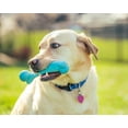 thumbnail image 3 of Roscoe's Pet Products Natural Rubber Dinosaur Bone Chew Toy for Dogs. Safe and Non-Toxic, 3 of 4