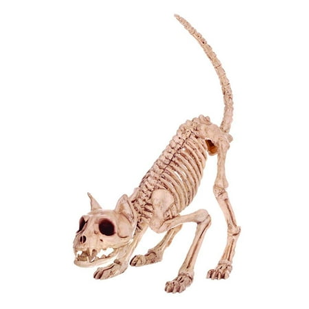 crazy bonez skeleton cat - lil' kitty bonez