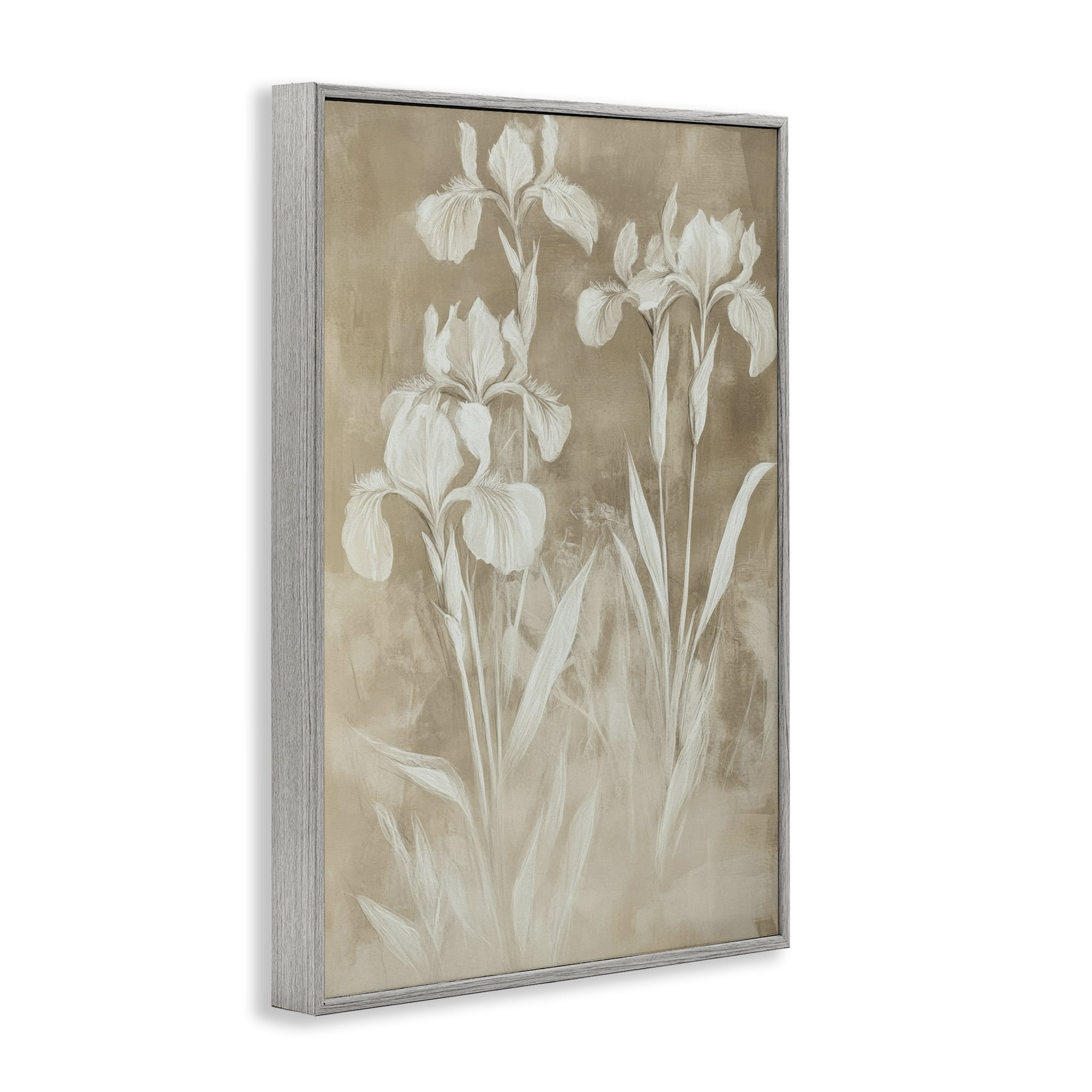 Stupell Industries Neutral Iris Botanical Study Gray Framed Giclee Art, design by Petal Prints Design