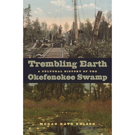 ISBN 9780820334196