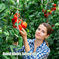 thumbnail image 3 of Tomato Hooks with String,Plant Support Clips,Tomato Support Hook for Climbing Plants,Tomato Holder Hooks, 3 of 7